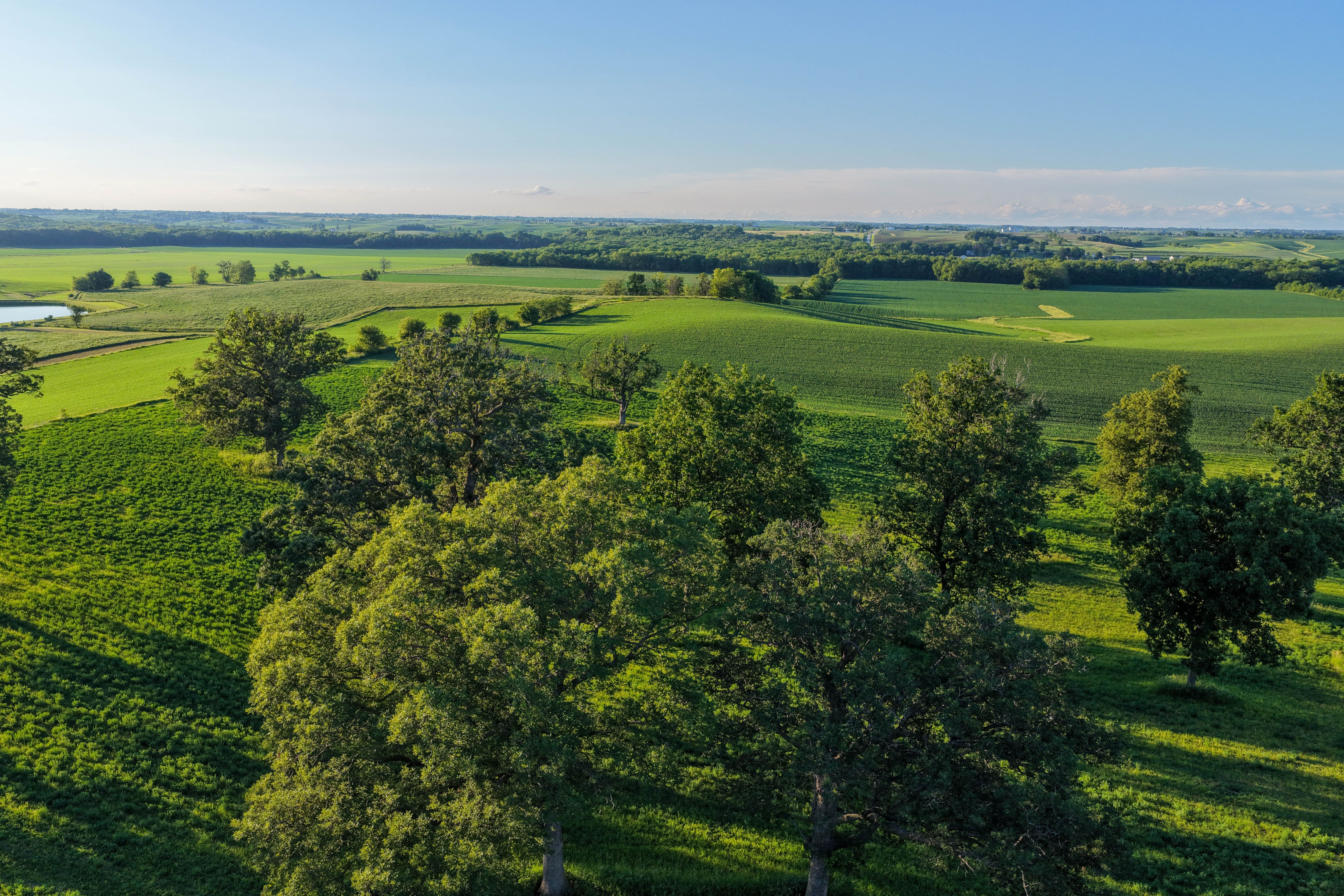 Listing Photo: Highway Frontage Building Site Johnson County Iowa-8